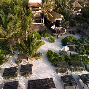 Orchid House (adults Only) 4*, Tulum México